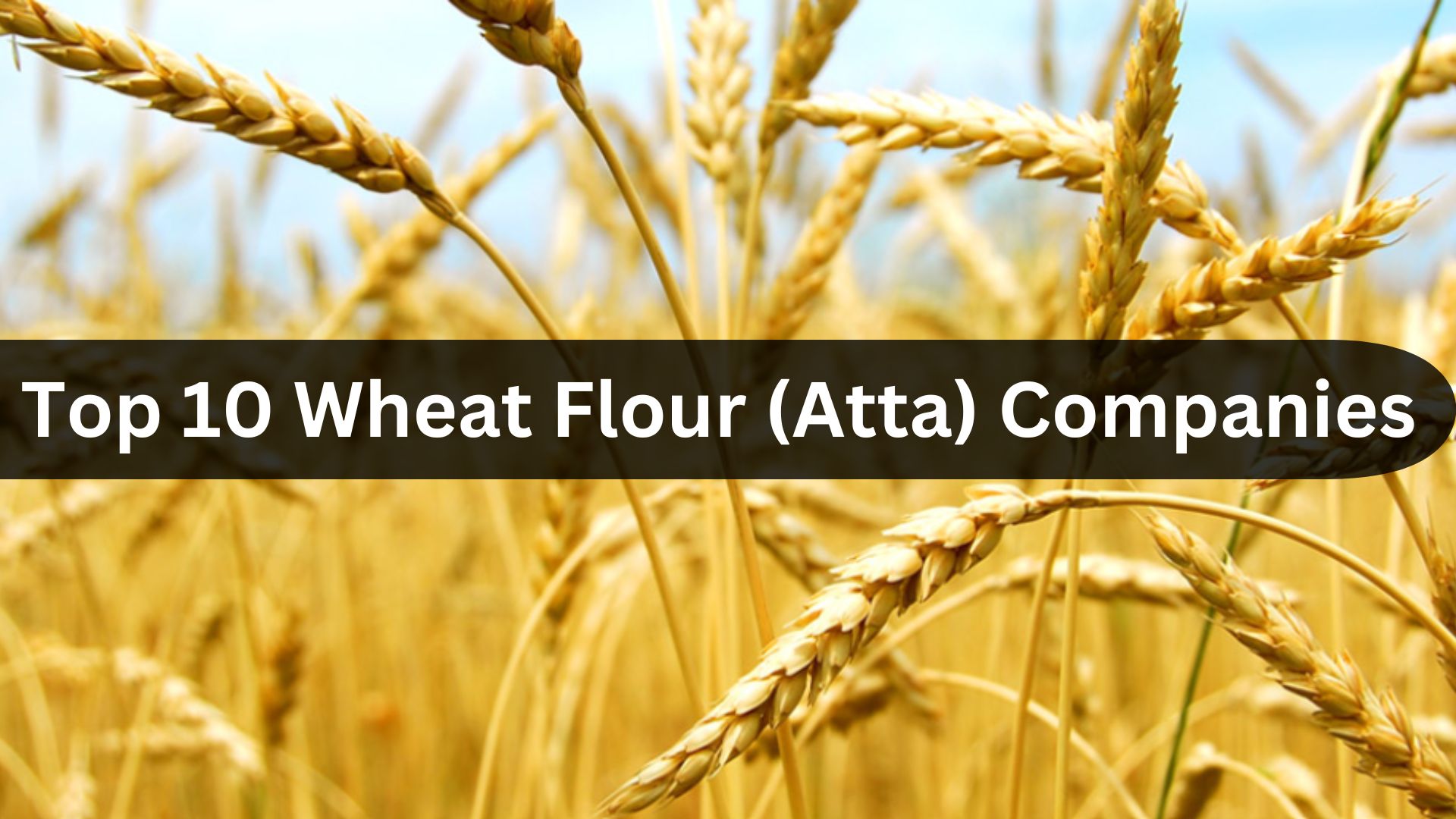Top 10 Wheat Flour Companies